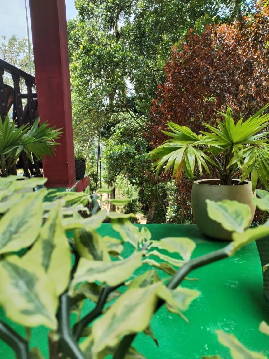 Ella Shali'S Home Exterior photo
